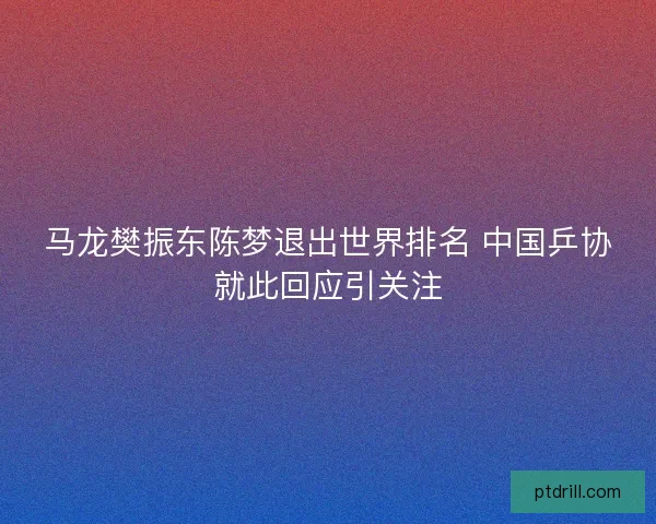 马龙樊振东陈梦退出世界排名 中国乒协就此回应引关注
